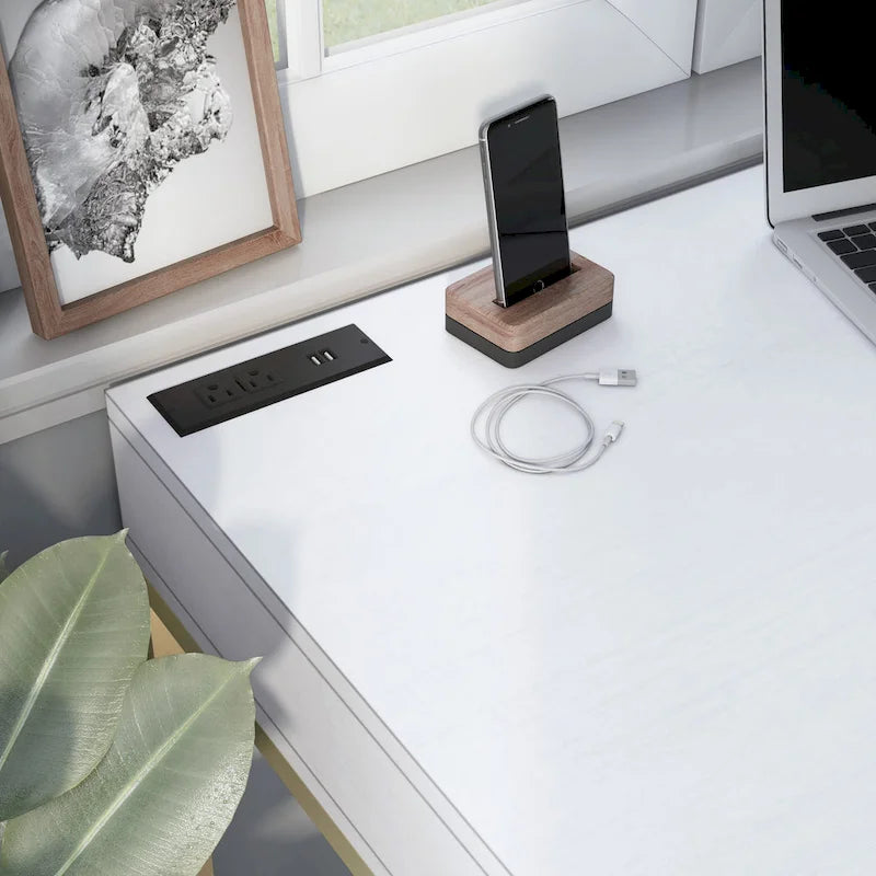 Bureau d'ordinateur moderne Bird de 42 pouces en métal avec ports USB, par Furniture of America-11